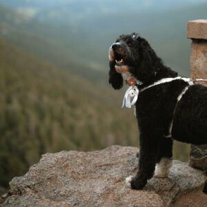 IngridMo-413_1032x1032